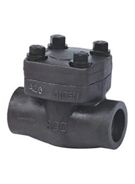 Forged swing_lift check valve